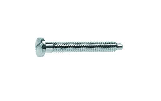 Rimless Frame Screws
