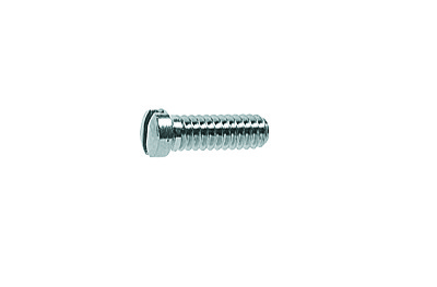 Hinge Screws