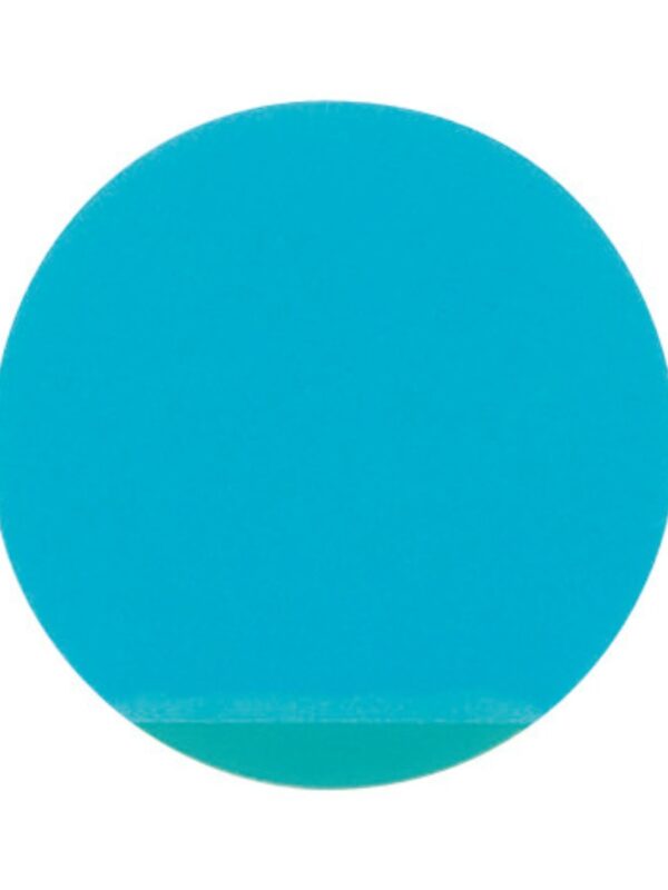 Round Protector Disks - Blue